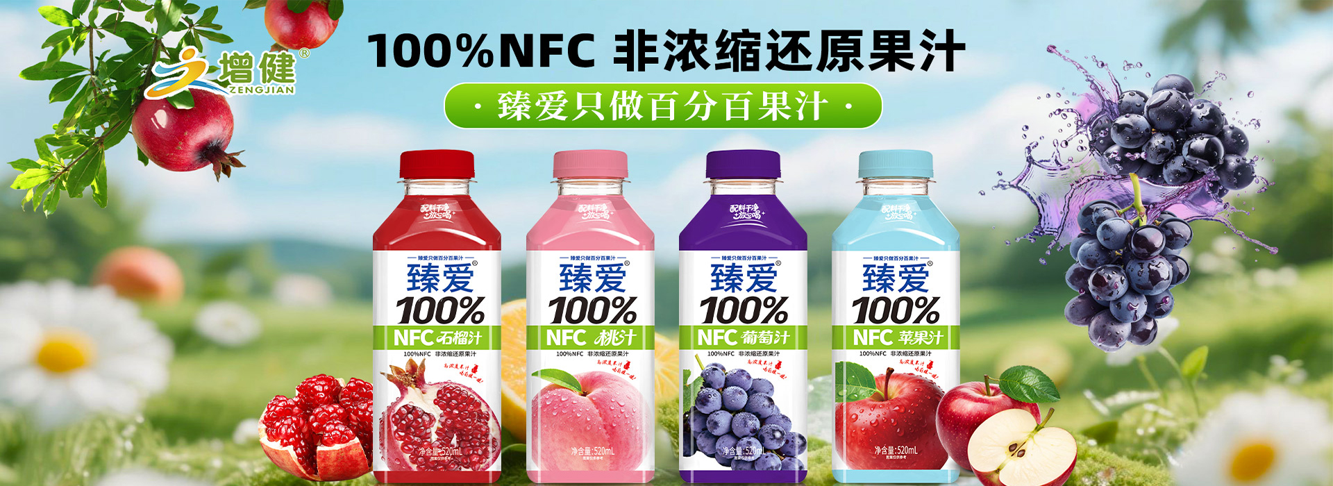 河南增健綠色飲品有限公司
